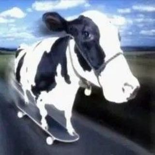 Telegram profile photo for ' Cha*ka