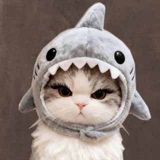 Telegram profile photo for ♡︎ВАША РЕСНИЧНИЦА♡︎