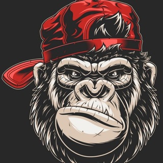 Telegram profile photo for MonkeyBaseCloud