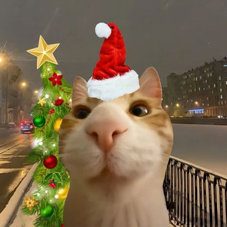 Telegram profile photo for блин