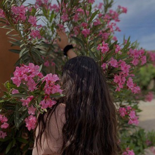 Telegram profile photo for صــمــت البـوح❀⇣.