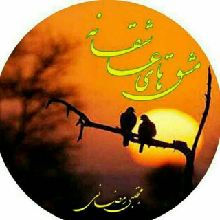 Telegram profile photo for مشقهای عاشقانه