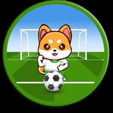 Telegram profile photo for Shiba soccer league announcements