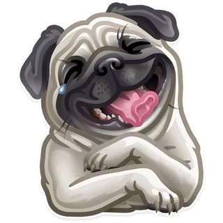 Telegram profile photo for Собаки / Собачки