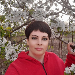 Telegram profile photo for Путь души💗 Хиромантия🔅 психология🔅 нумерология.