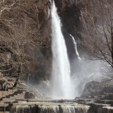 Telegram profile photo for گردشگران