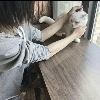Telegram profile photo for 灰色轨迹主频道