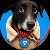 Telegram profile photo for Noble Venetian Doge