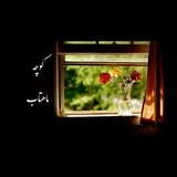 Telegram profile photo for کوچه ماهتاب