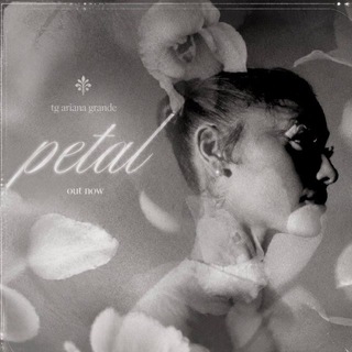 Telegram profile photo for Ariana Grande | PETAL