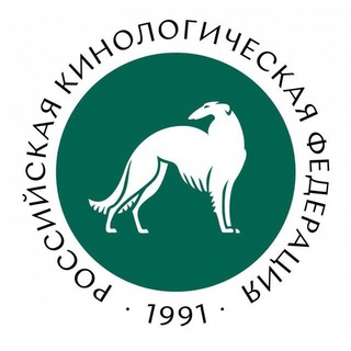 Telegram group profile photo for Support.RKF.Online - Поддержка цифровых сервисов РКФ