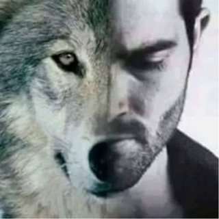 Telegram profile photo for INFØ LUPINKA