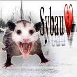 Telegram profile photo for ринаблогия