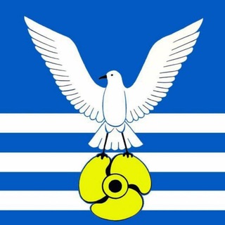 Telegram profile photo for Администрация городского округа Большой Камень
