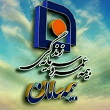 Telegram profile photo for خسارت بیمه سامان