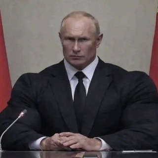Telegram profile photo for синяя чайка