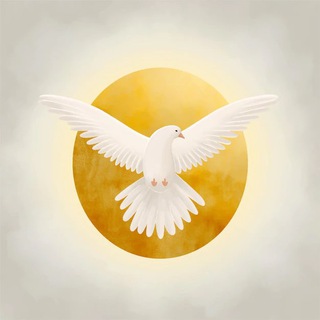 Telegram profile photo for Colomba Strategy Announcement