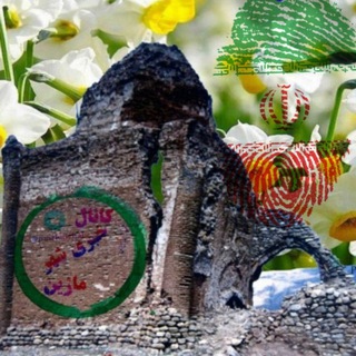 Telegram profile photo for ماژین رسانه