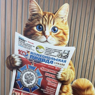 Telegram profile photo for КП Ростов-на-Дону. Новости региона