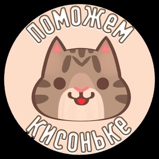 Telegram profile photo for "Поможем кисоньке" Приют для котиков СПБ