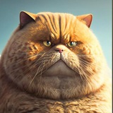 Telegram profile photo for ערוץ מדברים מלחמה
