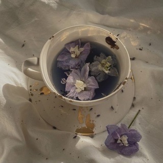 Telegram profile photo for 𖣠 ៹ Tea Homes ៹ ﹆