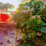 Telegram profile photo for ♡ بُوُح فُتْى ♡