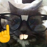 Telegram profile photo for Уголок авукки!