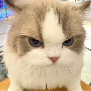 Telegram profile photo for 墨水鼹通知频道