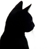 Telegram profile photo for ϲαɾʈʝ3ɾɾ