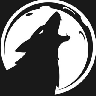 Telegram profile photo for Wolves Trading