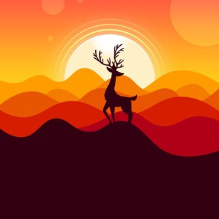 Telegram profile photo for ๐ Walls We USe