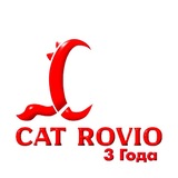 Telegram profile photo for Cat Rovio