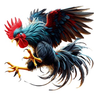 Telegram profile photo for 12