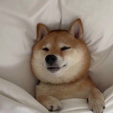 Telegram profile photo for $COZY CTO