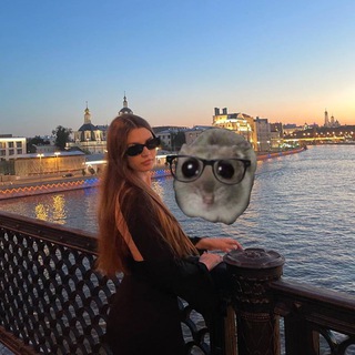 Telegram profile photo for Хомячки | ЕГЭ ОГЭ обществознание