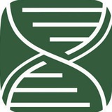Telegram profile photo for Международный клуб Биоинженеров