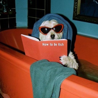 Telegram profile photo for dogs > people