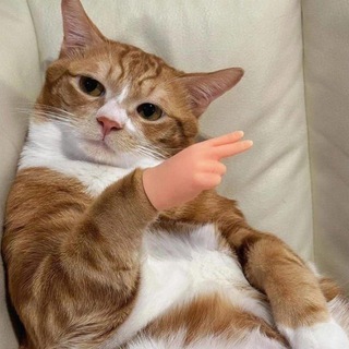 Telegram profile photo for 🟢 Личные сообщения