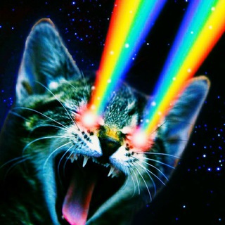 Telegram profile photo for Memegif