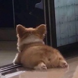 Telegram profile photo for Move