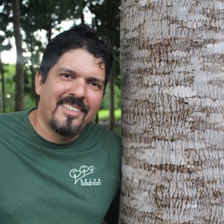 Telegram profile photo for Mogno Raiz