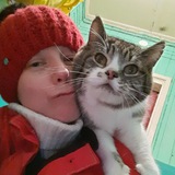 Telegram profile photo for DOBROESERDCE_KLD | помощь бездомным кошкам🙏🐾❤