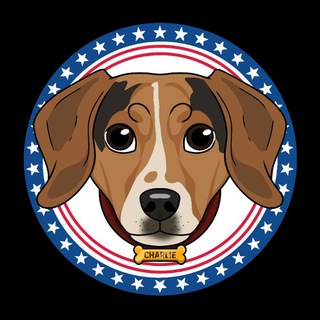 Telegram profile photo for Charlie portal