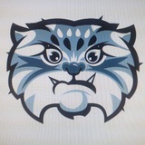 Telegram profile photo for Манул 🫀