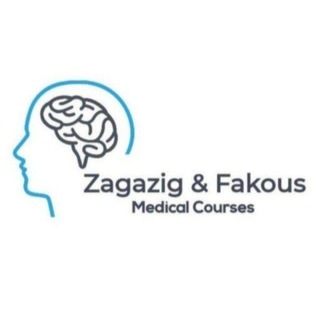 Telegram profile photo for Fakous Materials courses