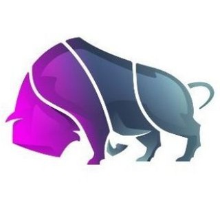 Telegram profile photo for BisonTrade