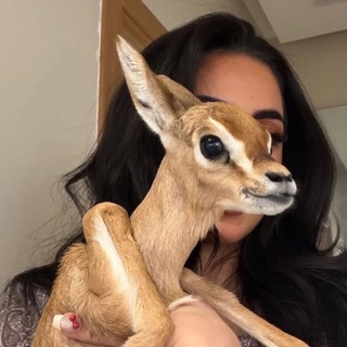 Telegram profile photo for زاهـِيـه