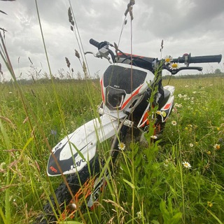 Telegram profile photo for Moto impulse
