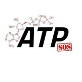 Telegram profile photo for ATP Team "SOS" 2028